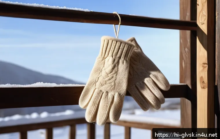 물론 방한 장갑 유지 관리법 관련 이미지 2